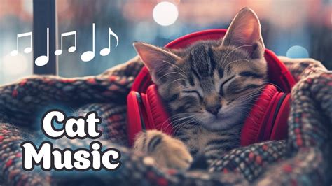 Healing Music For Cats Calming Kitten Lullabies Youtube