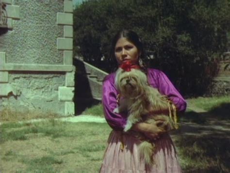 Bajatelotodo La India Maria El Miedo No Anda En Burro Dvdrip