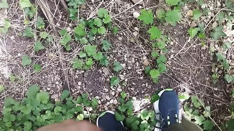 Outdoor Piss Wank Cum Gay Amateur Amateur Porn Feat Bayer By FapHouse XHamster