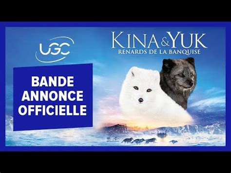 Kina Yuk Renards de la banquise séances à Paris et en Île de