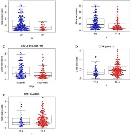 A Forest Plot Of Univariate Cox Regression Analysis Between Immune Download Scientific Diagram