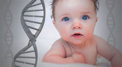 Prenatal Screening Genetic Testing And Counselling London Pregnancy