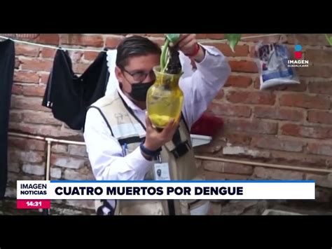 Reportan M S De Mil Casos Acumulados De Dengue En M Xico