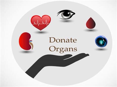 Organ Donation A Battle Yet To Win Awareness Is The Key