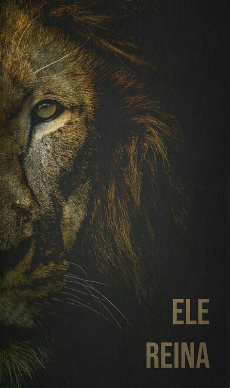 Jesus And Lion Wallpaper