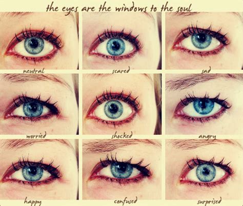 The Eyes Are The Windows To The Soul Funpicc