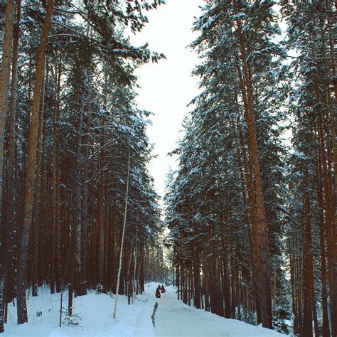 A sense of Siberia in the Altai Mountains. – Gemma Goes Global