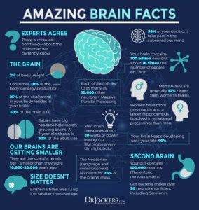 brain cancer natural strategies    fight drjockerscom