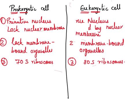 SOLVED: Compare and contrast prokaryotic and eukaryotic cells and give examples of organisms ...