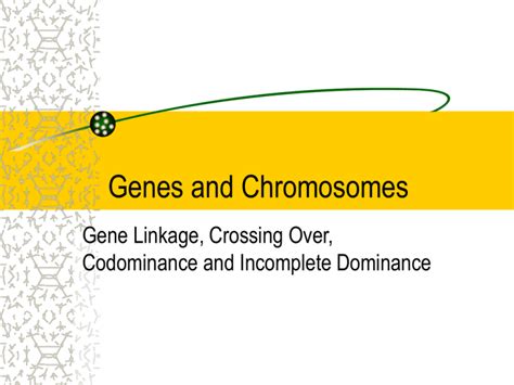 Genes and Chromosomes ppt