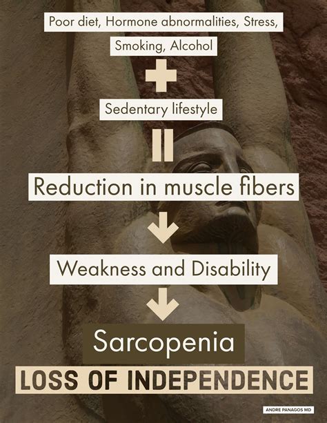 Causes of sarcopenia