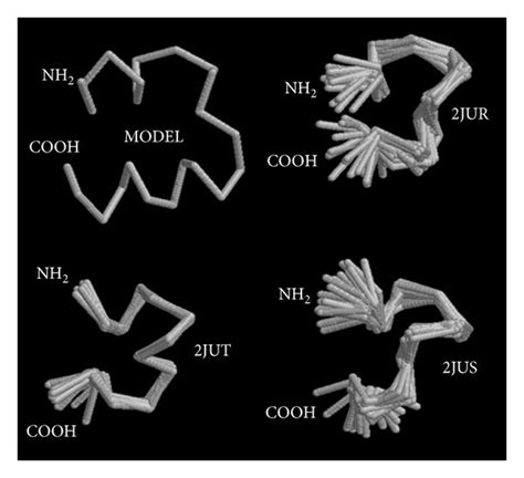 I Tasser Model Of Rgib And Pdb Nmr Superimposed Structures Of Rgi A