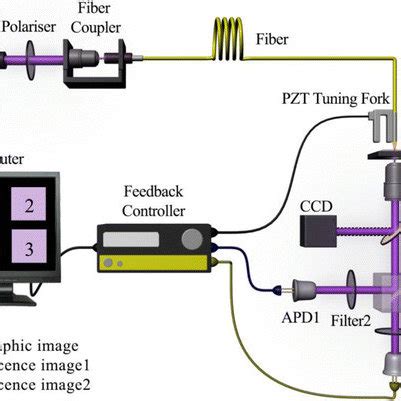 Schematic Of The NSOM QD Based Dual Color Imaging System In Which The