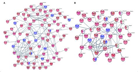 Protein Protein Interaction Analysis Using Phosphoproteins