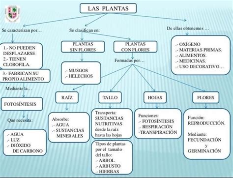 REALIZA UN MAPA CONCEPTUAL SOBRE LAS PLANTAS MEDICINALES Brainly Lat