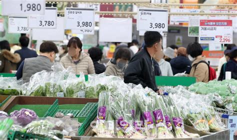 포토 먹거리 물가 비상