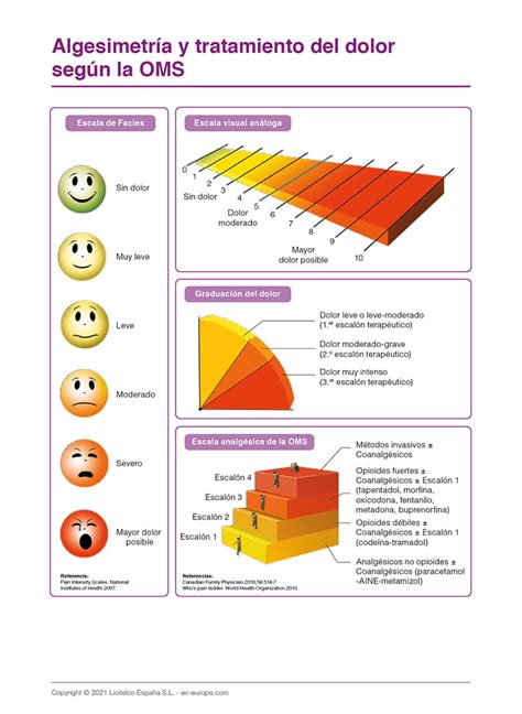 Algesimetr A Y Tratamiento Del Dolor Seg N La Oms