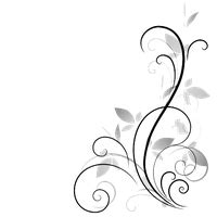 flower photography wedding creative invitation frame stock transparent