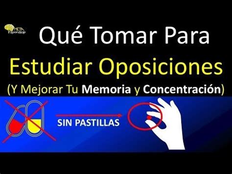 Mejores Opciones Para Mejorar La Memoria Al Estudiar Actualizado