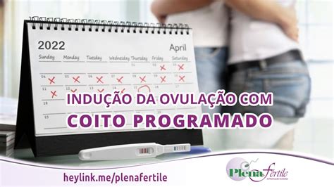 Indução da Ovulação Coito Programado YouTube