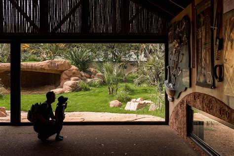 Perth Zoo Lion Exhibit Australia By Iredale Pedersen Hook 谷德设计网