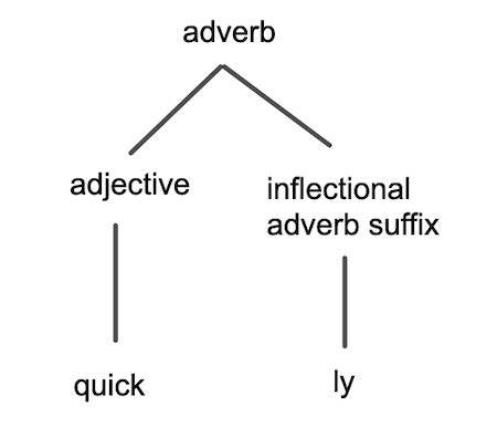 Morphology in Linguistics | Definition, Syntax & Examples - Lesson | Study.com