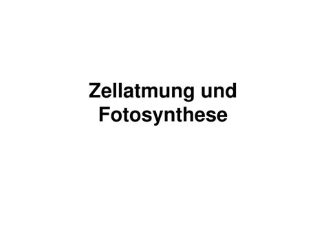 Ppt Zellatmung Und Fotosynthese Powerpoint Presentation Free