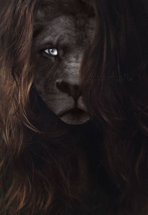 Lion Eyes Wallpapers - Top Free Lion Eyes Backgrounds - WallpaperAccess