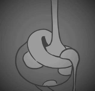 Keycock GIFS Luscious Hentai Manga Porn