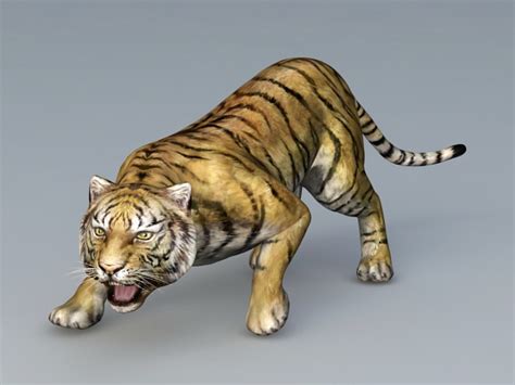 Tiger 3d Model Free Download pantyane