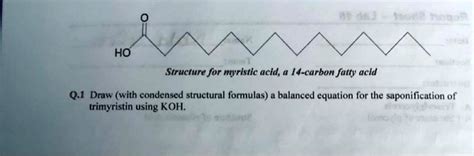 SOLVED OH Structure For Mvristic Acid 14 Carbon Fatty Acid Q 1 Draw