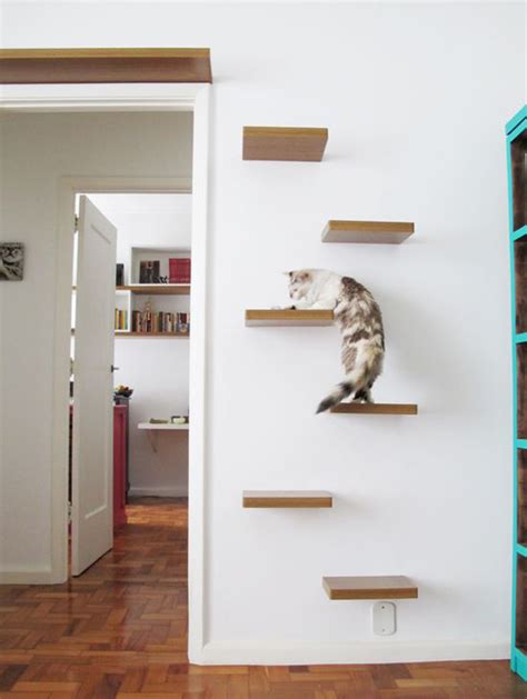 Easy Diy Cat Shelves Ideas That Will Wow Them Obsigen