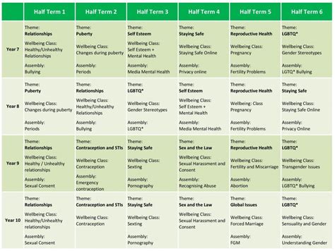 Hornchurch High School Relationship And Sex Education Rse Provision