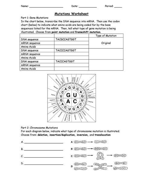 Solution Gene Mutations Worksheet Answer Key Studypool