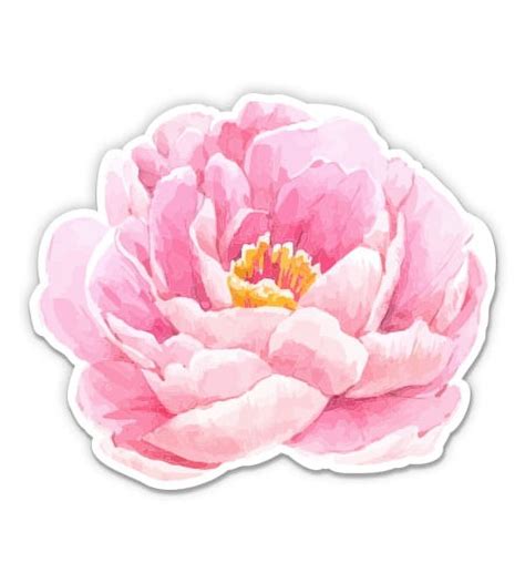 Peony Flower 5 Vinyl Sticker For Car Laptop I Pad Waterproof Decal