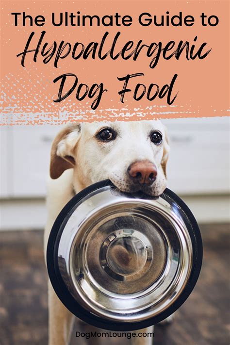 Hypoallergenic dog food – Artofit