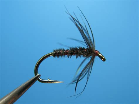 Soft Hackle Black Gnat William Anderson Williamsfavorite