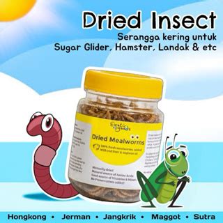 Jual Exoticgoods Ulat Hongkong Kering Ulat Jerman Jangkrik Kering