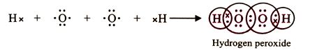 Write the Lewis structure of hydrogen peroxide