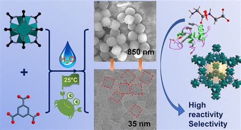 通过可扩展的室温方法合成的单分散 MOF 808 纳米晶体用于有效的多相肽键水解 Chemistry of Materials X MOL