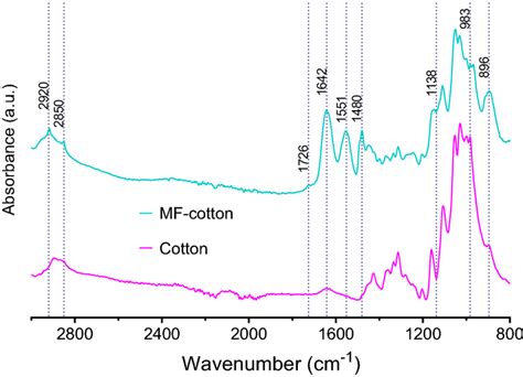 Ftir Absorbance Spectra Of Cotton And Mf Cotton Download Scientific