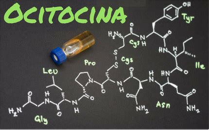 Ocitocina: o hormônio do amor? - Brasil Escola