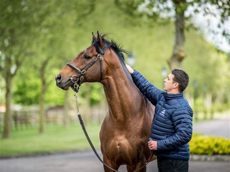 Discover Newmarket Visit Suffolk