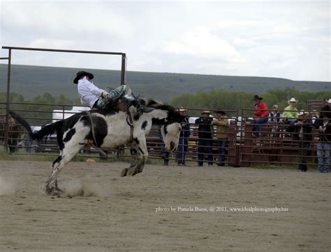 Wilsall Rodeo Wilsall Rodeo