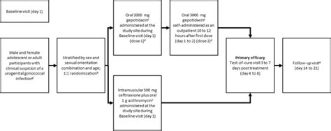 Efficacy And Safety Of Gepotidacin As Treatment Of Uncomplicated