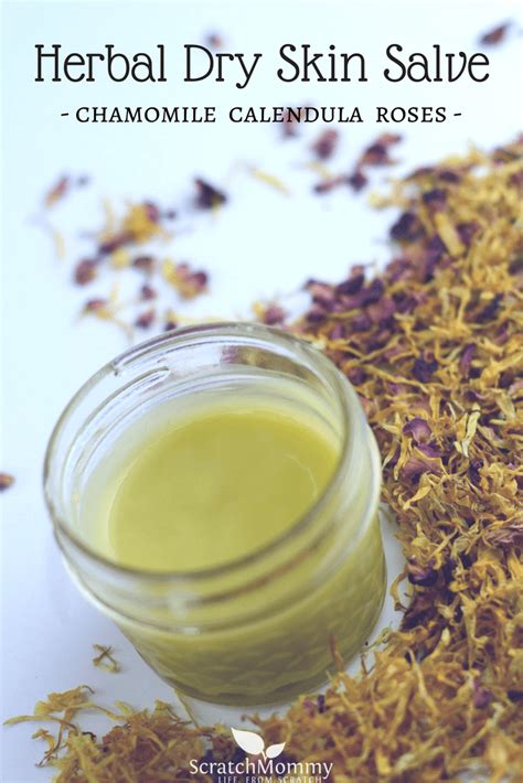 Herbal Dry Skin Salve Chamomile Calendula And Roses Scratch Mommy