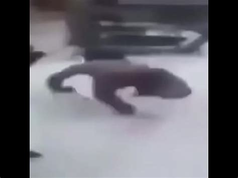 Anão Fire tunado fodendo no bar desconhecido XVIDEOS