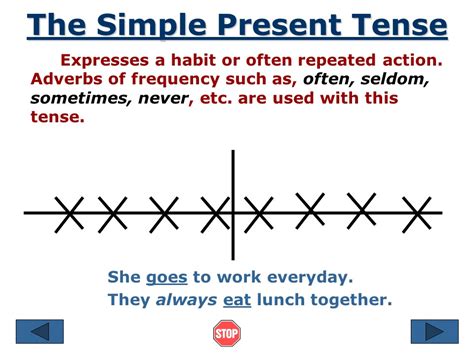 Present Simple Tense Timeline