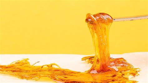 What Are Solventless Concentrates & Are They Better?