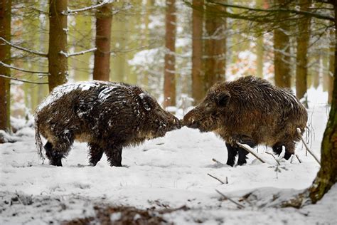 Fotografie „polibek“ | Galerie Megapixel